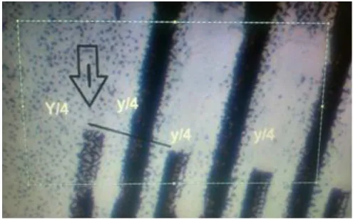 Figure 12 - Microscopic photo of the interdigited comb and pole pitch 