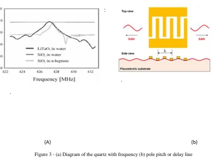 Figure 3 - (a) Diagram of the quartz with frequency (b) pole pitch or delay line 