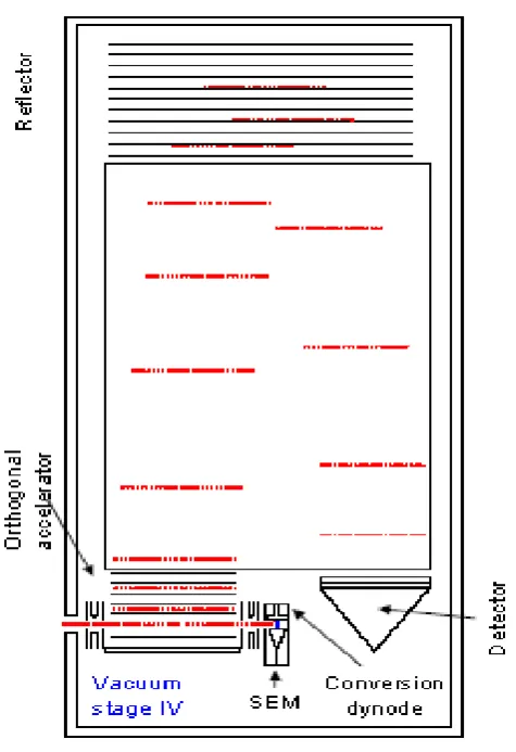 Figure 5:  Simple schematic of a TOF tube including a single reflector (as found in the Bruker Microtof Q[38])