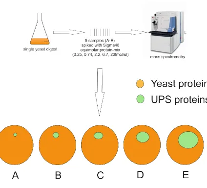Figure 13: CPTAC samples were created by splitting a single yeast digest into five and spiking each with protein mix (0.25, 0.74, 2.2, 6.7 and 20fmol/ul respectively for samples A-E)