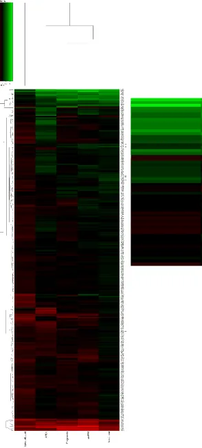 Figure 15: Heatmap showing differential expression results for the ABRF dataset, including zoomed section showing protein 
