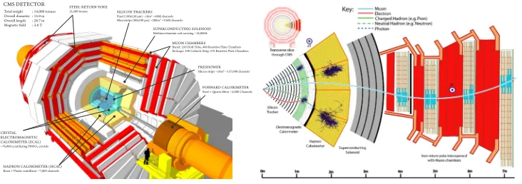 Figure 1. The subdetectors of the CMS experiment (left) and a schematic view of the diﬀerent particles’ signatureinside the detector (right).