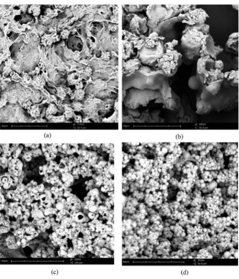 Figure 2. SEM photographs of sage microcapsules (a) Experiment 1; (b) Experiment 2; (c) Experiment 3; (d) Experiment 4