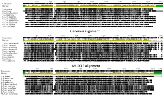 Figure 1. Sequence alignment using three methods 