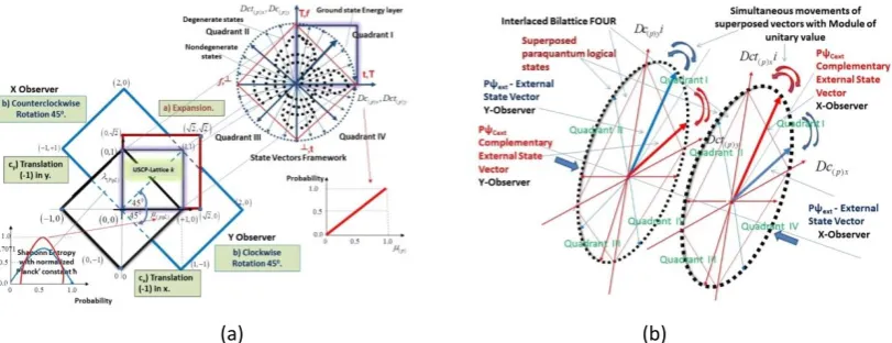 Fig. 5. Superposed paraconsistent logical states and probabilistic trajectories of the X and Y observers: (a) sequences of the paraconsistent transformations for the X and Y observers and framework vectors; (b) interlaced bilattices with the vectors and or