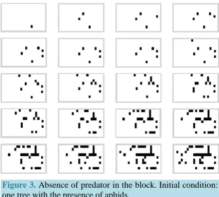 Figure 3. Absence of predator in the block. Initial condition: one tree with the presence of aphids