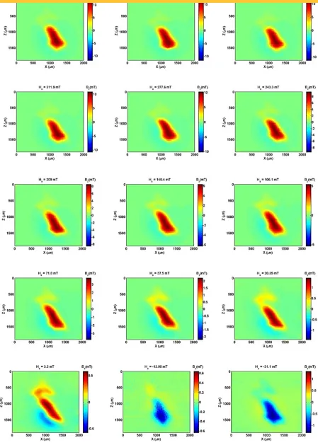 Figure 7. Experimental Bz maps (25 µm step) of the hook. Applied field from 415 mT to –31 mT