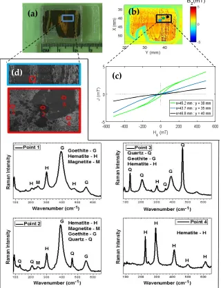 Figure 5. (a) Photo of the microfold structure attached in the sample port. (b) The perpendicular component of the magnetic field response of a 20 × 25 mm scan of the microfold sample, in the presence of a 500 mT field applied, we can see the three point