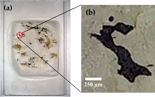 Figure 6. (a) Vredefort thin section. (b) Shows a picture, taken with an optical microscope