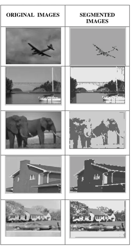 Fig 2: Original and Segmented Images 