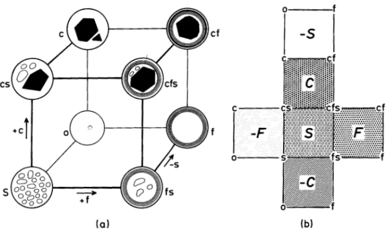 Fig.  2.  Cubical model of the interconnections between the eight forms of sieve-element plastids.- plastids.-2a