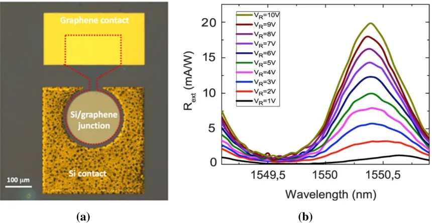 Figure 6. MoS2 /graphene Schottky PD described in Ref. [39]. (b) Device spectral response
