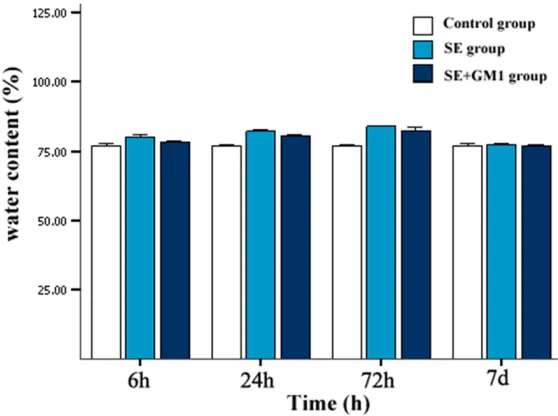 Figure 1. The brain water content changes after SE. Note: P<0.05 as the SE group compared with the control group at 6 h, 24 h and 72 h; P<0.05 as the SE group compared with the SE+GM1 group at 6 h, 24 h and 72 h; P>0.05 as groups compared with each other.