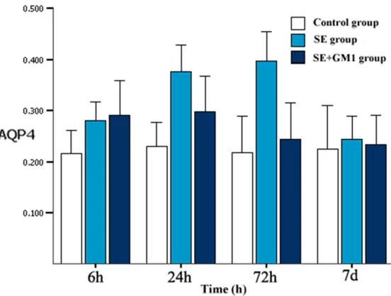 Figure 2. AQP4 expressions in the brain tissue after SE. Note: SE group compared with the control group at 6 h, 24 h and 72 h; P<0.05 as the P<0.05 as the SE group compared with the SE+GM1 group at 24 h and 72 h.