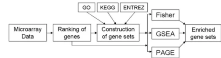 Figure 2: Schematic representation of SEGS.