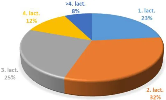 Figure 2. Culling proportions depending on number of lactation 