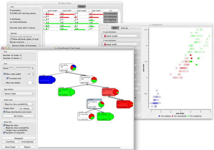 Figure 3: Widgets from schema in Figure 2 showing the classification tree with selected node of six instances