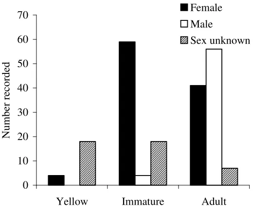 Figure 7. Size class distributions for the population of green python Morelia viridis at 