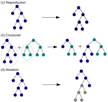 Figure 2.3.: The three common genetic operators used in standard (tree-based) Genetic Program- Program-ming.