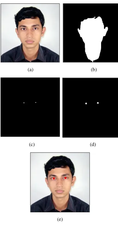 Fig. 7: (a) Input Image (b) Skin detection (c) Eye candidates (d) Detected eye region (e) Highlighted eye 