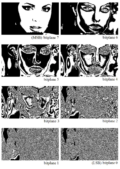 Figure 3. Angelina and her 8 bitplanes, including MSB and LSB. 