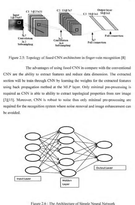 Figure 2.5: Topology of fused CNN architecture in finger-vein recognition [8] 