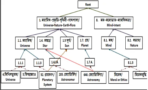 Figure 2: Hierarchical Representation of the Bangla Semantic Lexicon 
