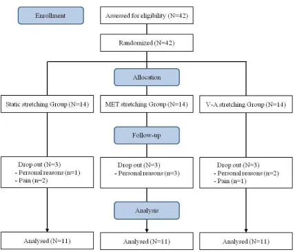 Figure 2. CONSORT Flow chart of the study. 