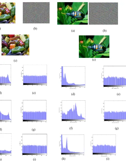 Fig. 5. In figure 5, images (d), (f), (h) shows the histograms of red, green, blue components of input image beetle.bmp (a)