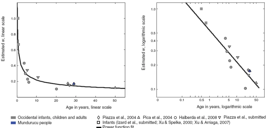 Fig. 6. Development of the precision of the approximate numerical representations. The graphs regroup the values of w estimated in different papers (from Piazza & Izard, 2009)