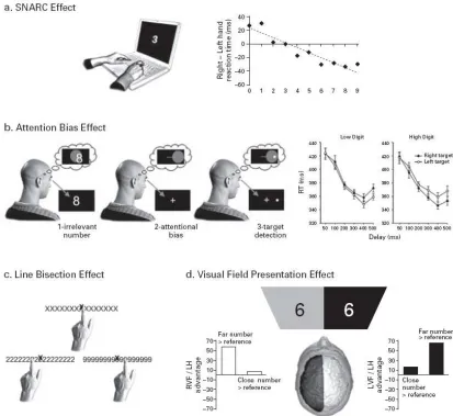 Fig. 10. Behavioural studies demonstrating numerical-spatial interactions. (a) SNARC effect