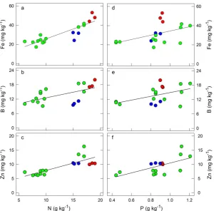 Figure 1. Leaf Fe (a,d), B (b,e) and Zn (c,f) as a function of leaf N and P of C. glabrum (red), O