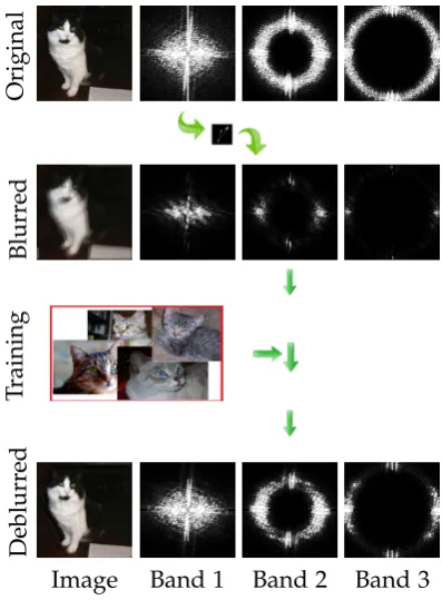 Figure 3.1: Recovering spatial frequencies that have been suppressed by a blur kernelusing band-pass frequency components from the training data.