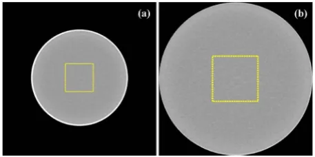 Figure 2. Definition of ROI: (a) square side of 30% of the phantom diameter and (b) 30% of the FOV when the FOV is smaller than the phantom’s diameter
