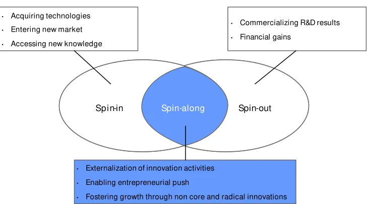 Figure 1 Spin-along as a combination of spin-out and spin-in aspects  