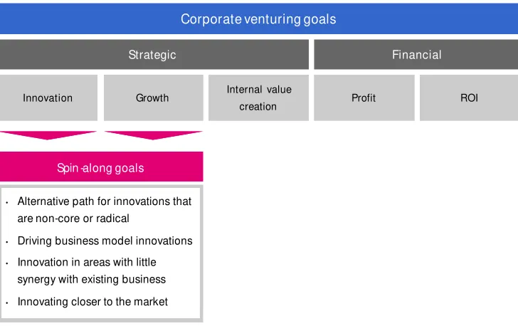 Figure 2 Goals of corporate venturing and the spin-along approach