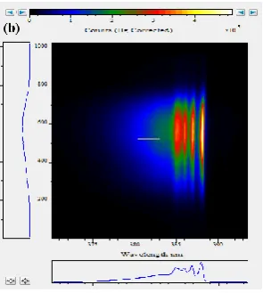 Figure 2. Plasma expansion (a) at 0.8 µs (b) at 1 µs.  At 1 µs time delay, the plasma expands vertically at ~ Mach 3 (~1 km/s)