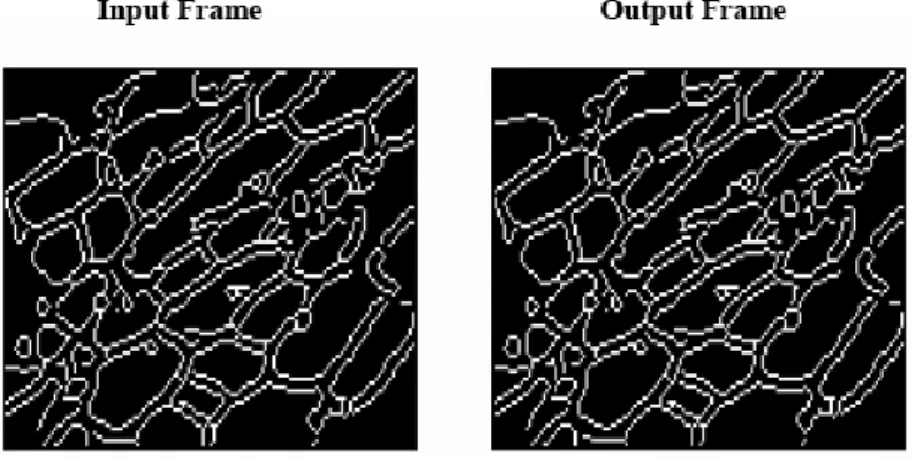 Figure 12. Output at compression ratio of 42 and PSNR value of 38 for edges of set 2 obtained using Canny edge detector.
