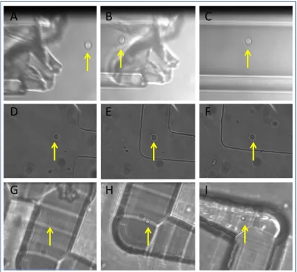 Figure 7: Tweezing and isolation in 3 devices A: Micropipette, B: PDMS chip, C; ULI chip