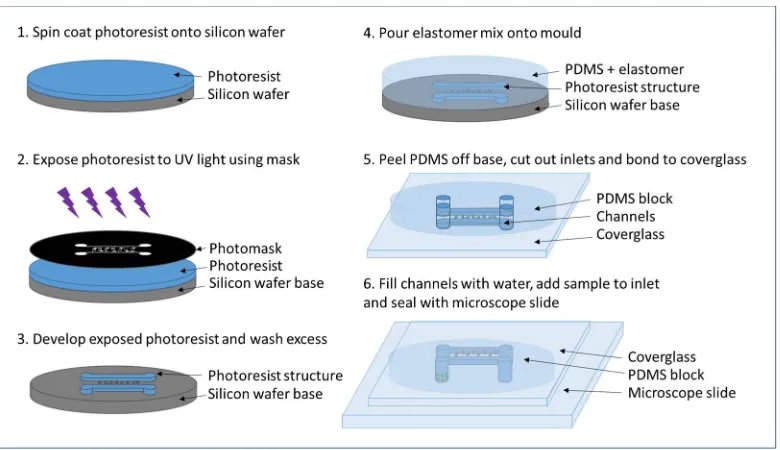 Figure 4: Soft lithography process for making PDMS devices 