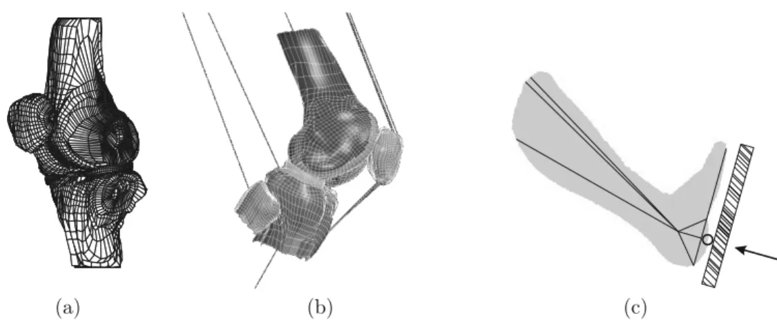 Figure 4. Knee joint model: a ) template knee mesh consisting of eight structures: bones tibia, femur, patella and their corresponding cartilages, medial and lateral meniscus; b ) patient-specific FE model; and c) lower leg and MR