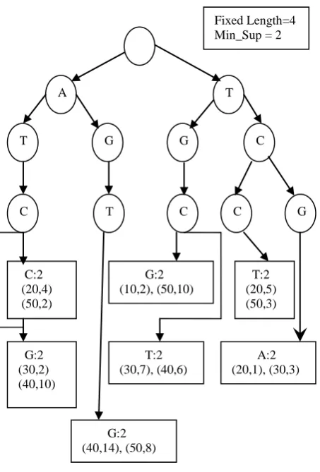 Fig 3: Spanning Tree for A and T (20 