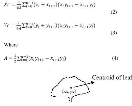 Figure 3.Leaf Image depicting the centroid of the shape 