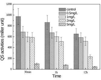 Figure 4. Effect of chloramines on QS activities in water.                                    