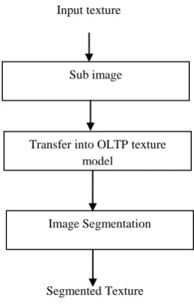 Figure 5 shows some example segmentation results when OLTP texture model was used in the segmentation algorithm that was discussed in the previous section for various 
