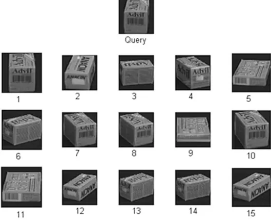 Figure 11. Retrieved results of SVMBIR system for “Query” image.