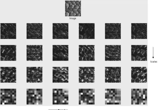 Figure 2. Four-scale CWT of a texture image.