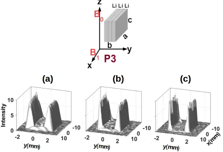 FIG. S5. Bulk metal MRI of phantom P3, at mutually orthogonal orientations.Comparison ofThis puts to rest the possibility that the differences in the intensities from thefrom the gradient switching in MRI experiments) may affect the signals from the 7Li 2d