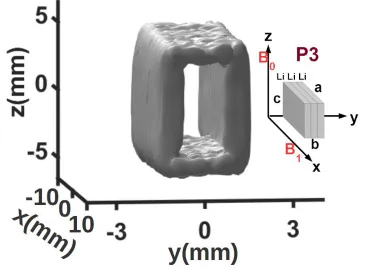 FIG. 4. ExpectedFor MRI( relative intensities in bulk metal MRI.Illustration of expected relative intensities from different pairs of faces in bulk metal 7Li 2d MRI of phantom P3 as stack plots (intensity along vertical axis): (a)2d MRI(xy)