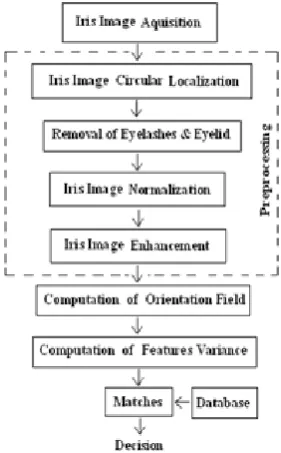 Fig 1: Flow diagram for proposed Iris recognition 